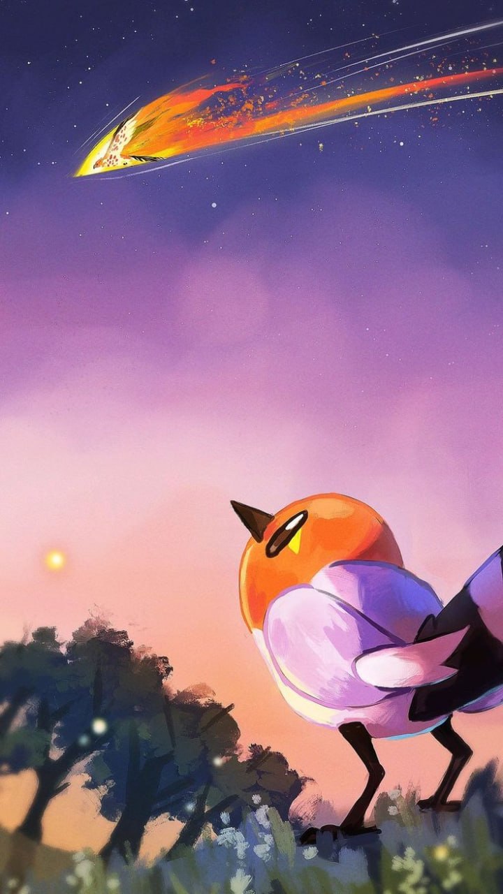 Fletchling watching a comet cross the sky
